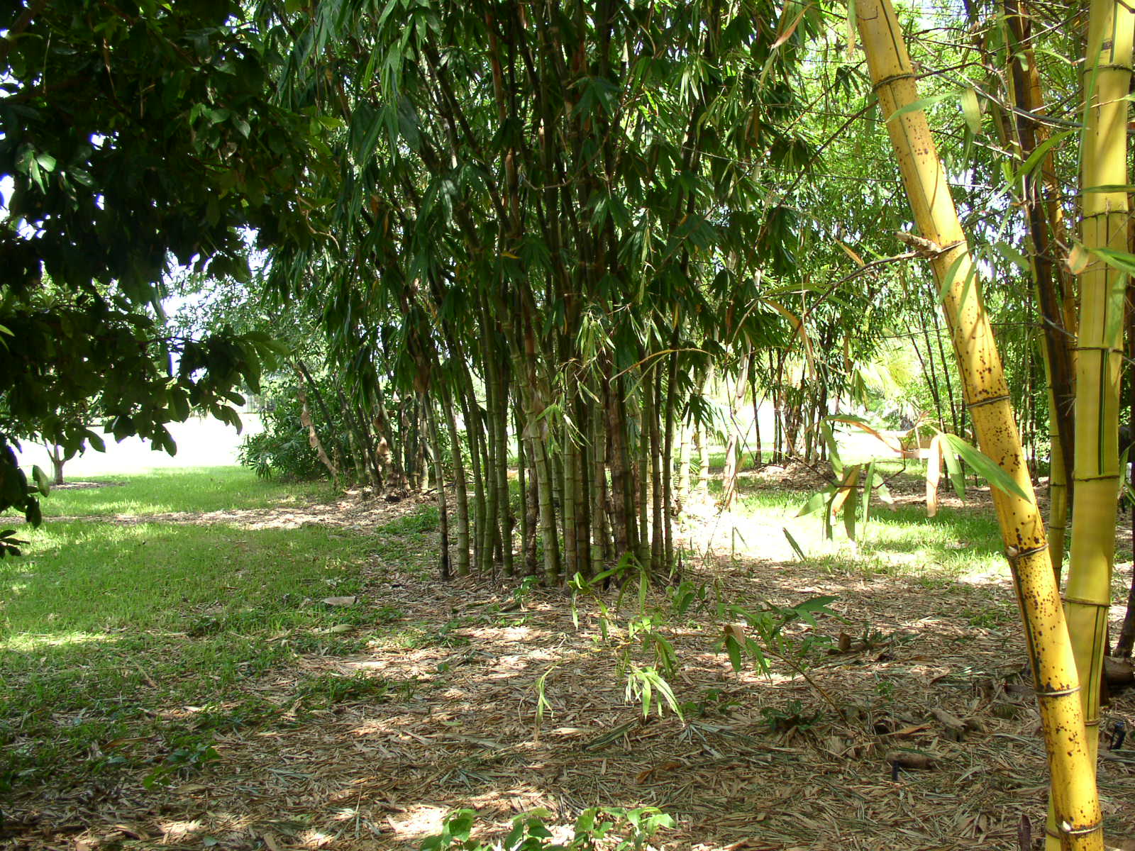photo1